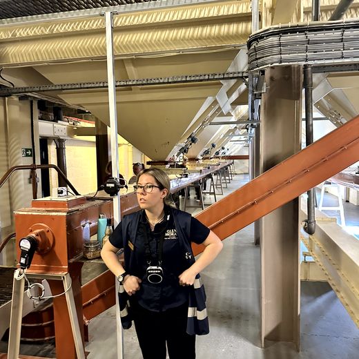 Glen Moray Distillery – Produktionsrundgang vom Mash House bis ins Warehouse