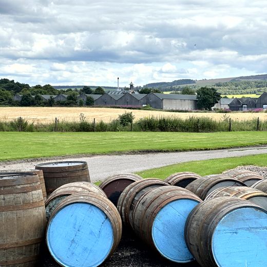 Glen Moray Tasting – Privatfass, Samples und leichte Cocktails