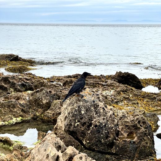 Moray Coast – Covesea Lighthouse, Dünenpfade und weite Blicke