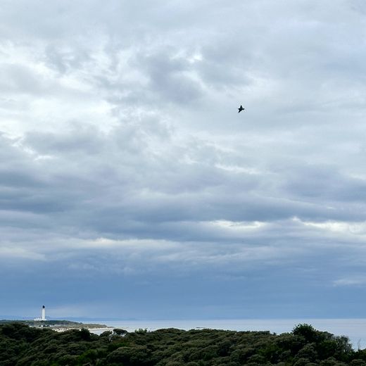 Moray Coast – Covesea Lighthouse, Dünenpfade und weite Blicke