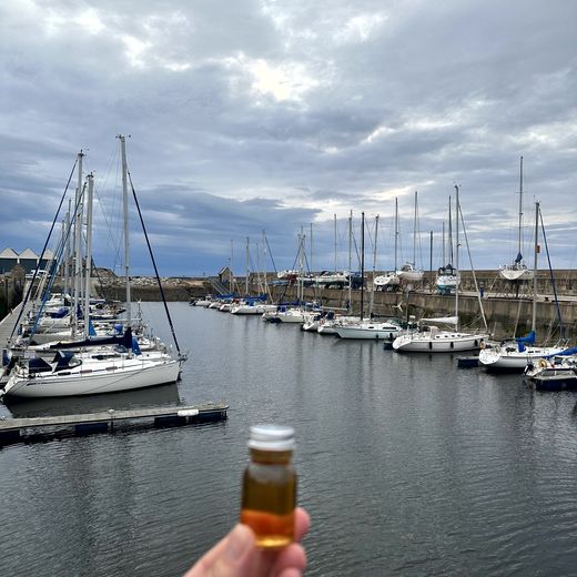 Hafen, Pints und Abendstimmung in Lossiemouth