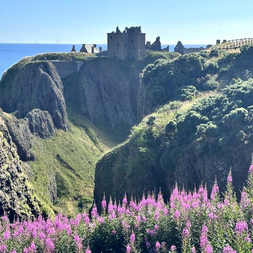 Stonehaven & Dunnottar Castle – ein letzter großer Küstenhöhepunkt