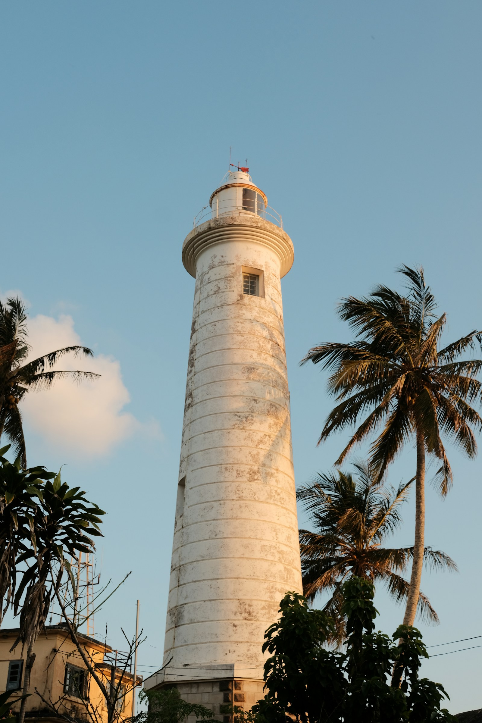 Der weiße Leuchtturm im Galle Fort zwischen Palmen