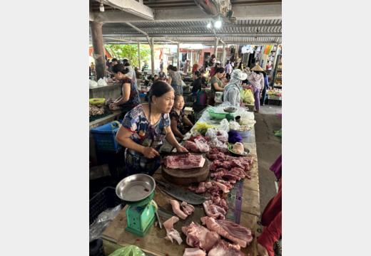 Hue Motorbike Tour – Thanh-Toan-Brücke, Enten und Dorfmarkt