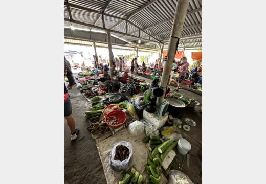 Hue Motorbike Tour – Thanh-Toan-Brücke, Enten und Dorfmarkt