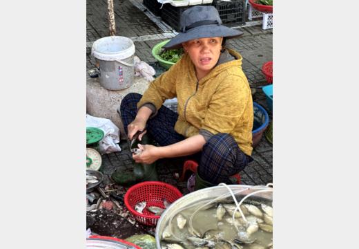 Hue Motorbike Tour – Thanh-Toan-Brücke, Enten und Dorfmarkt