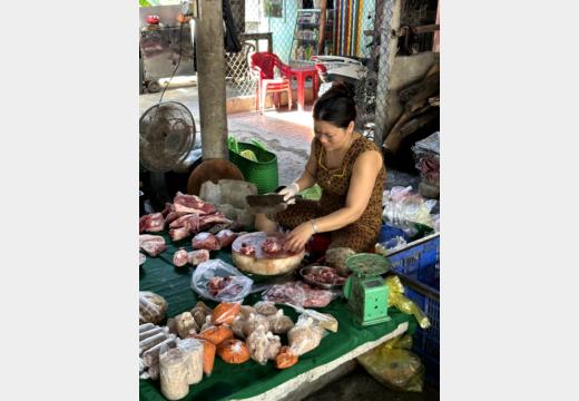 Hue Motorbike Tour – Thanh-Toan-Brücke, Enten und Dorfmarkt
