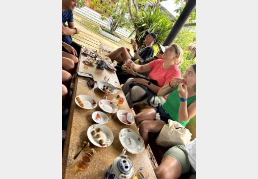 Mekong-Delta / Ben Tre – Boot, Kokosprodukte, Honigtee, Reispapier, Elefantenohrfisch und Sampan