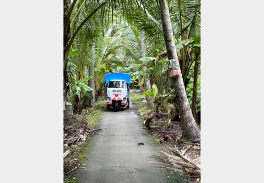 Mekong-Delta / Ben Tre – Boot, Kokosprodukte, Honigtee, Reispapier, Elefantenohrfisch und Sampan