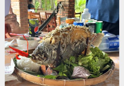 Mekong-Delta / Ben Tre – Boot, Kokosprodukte, Honigtee, Reispapier, Elefantenohrfisch und Sampan