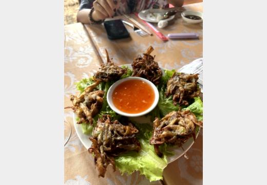 Mekong-Delta / Ben Tre – Boot, Kokosprodukte, Honigtee, Reispapier, Elefantenohrfisch und Sampan
