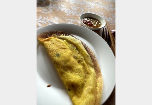 Mekong-Delta / Ben Tre – Boot, Kokosprodukte, Honigtee, Reispapier, Elefantenohrfisch und Sampan
