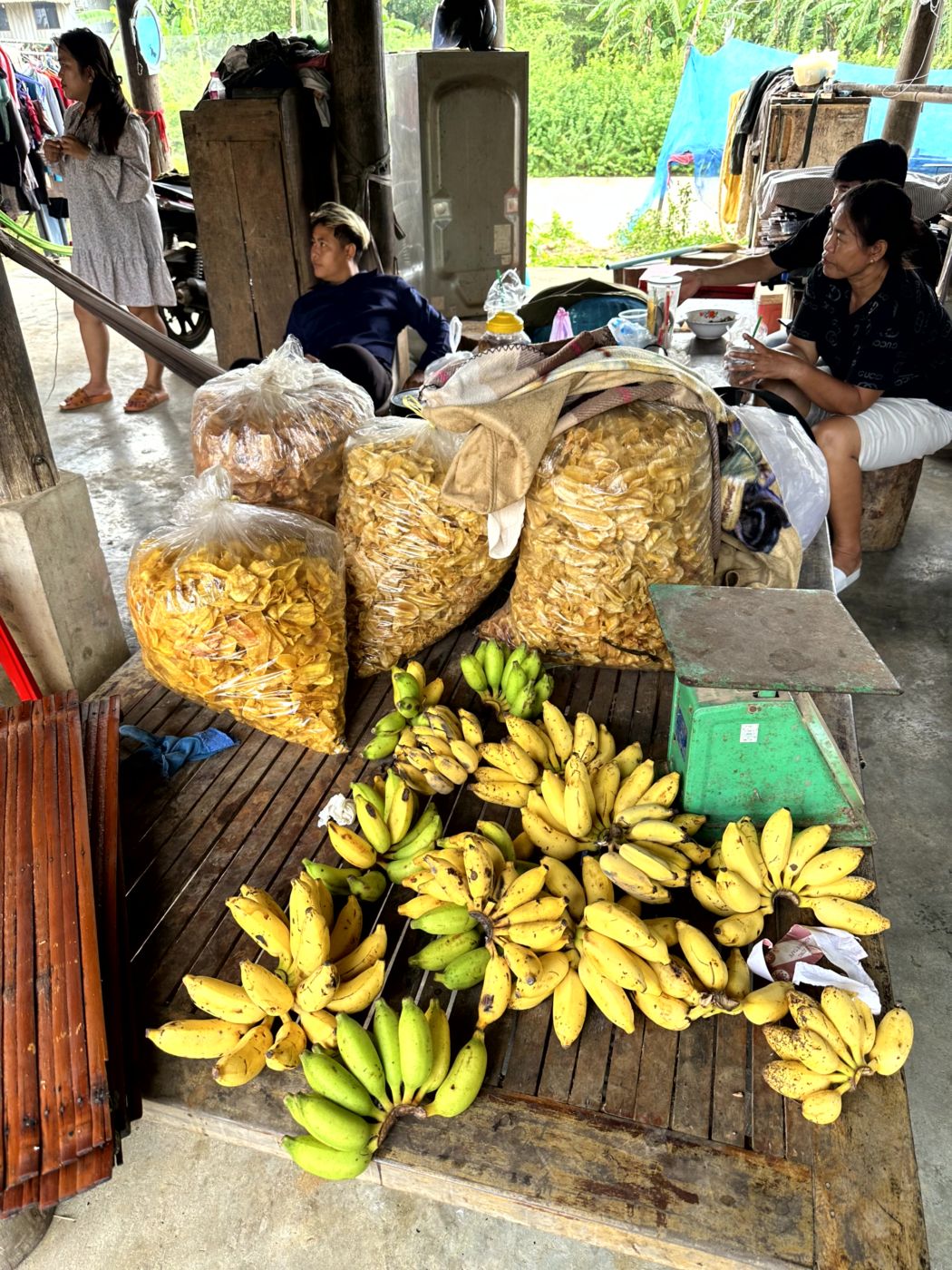 Battambang Rural Food & Cycle Tour – Dorfküchen, Reisprodukte und Kokoswasser