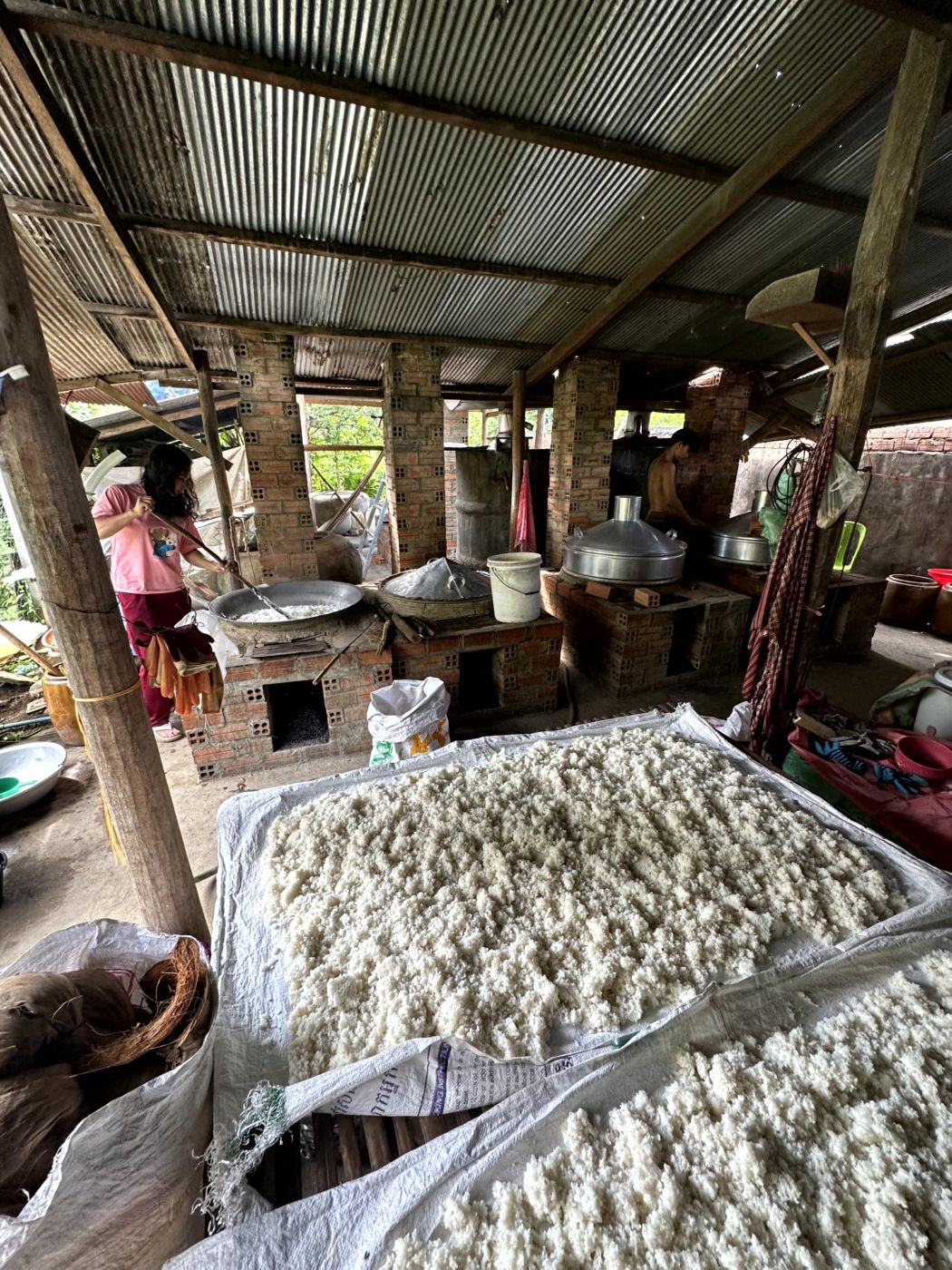 Battambang Rural Food & Cycle Tour – Dorfküchen, Reisprodukte und Kokoswasser