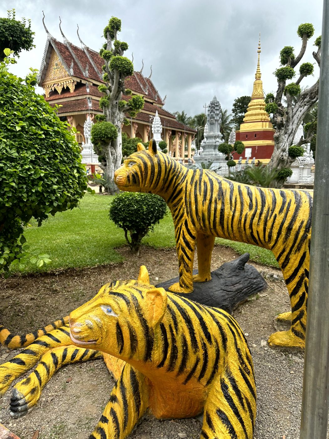 Battambang Rural Food & Cycle Tour – Dorfküchen, Reisprodukte und Kokoswasser