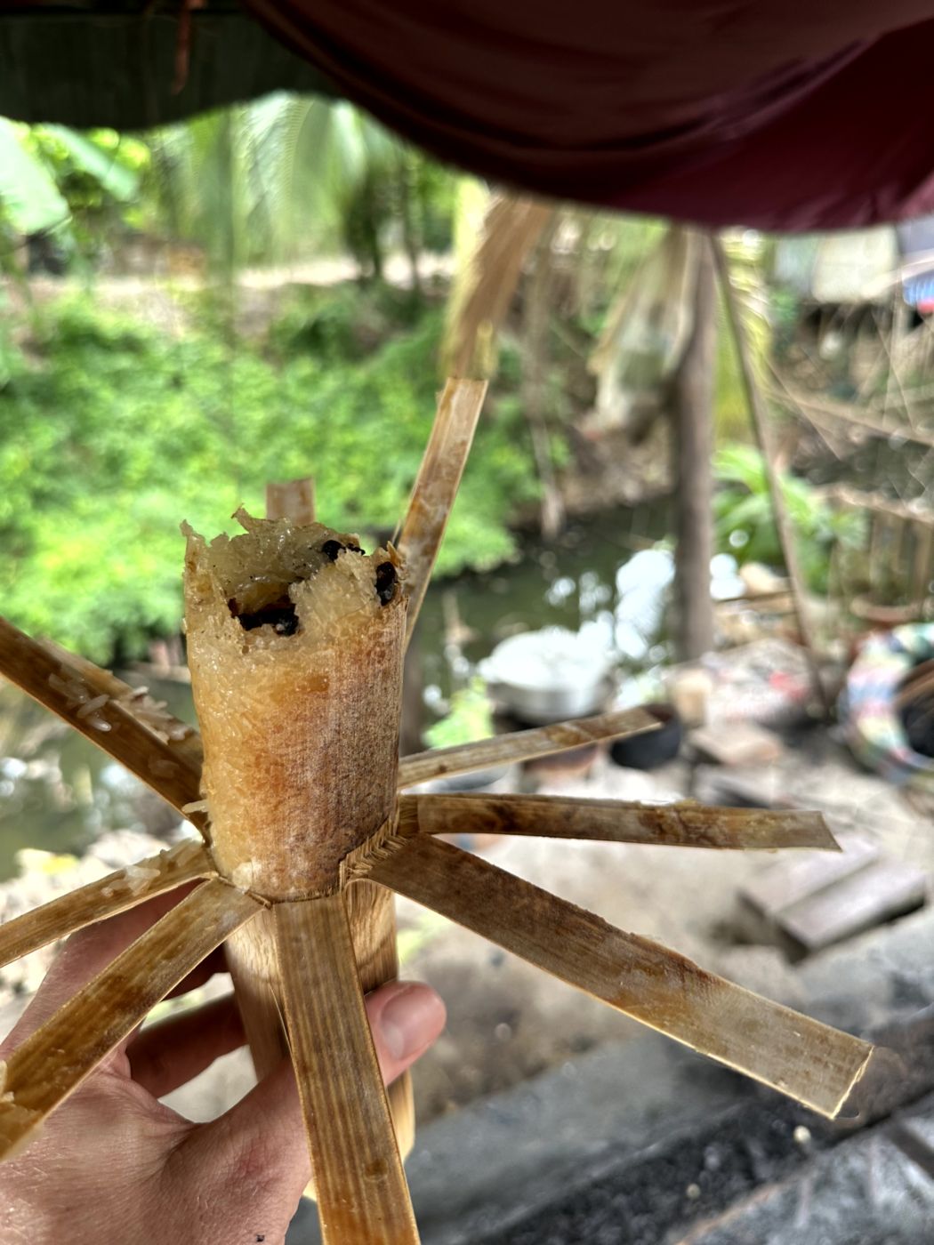 Battambang Rural Food & Cycle Tour – Dorfküchen, Reisprodukte und Kokoswasser
