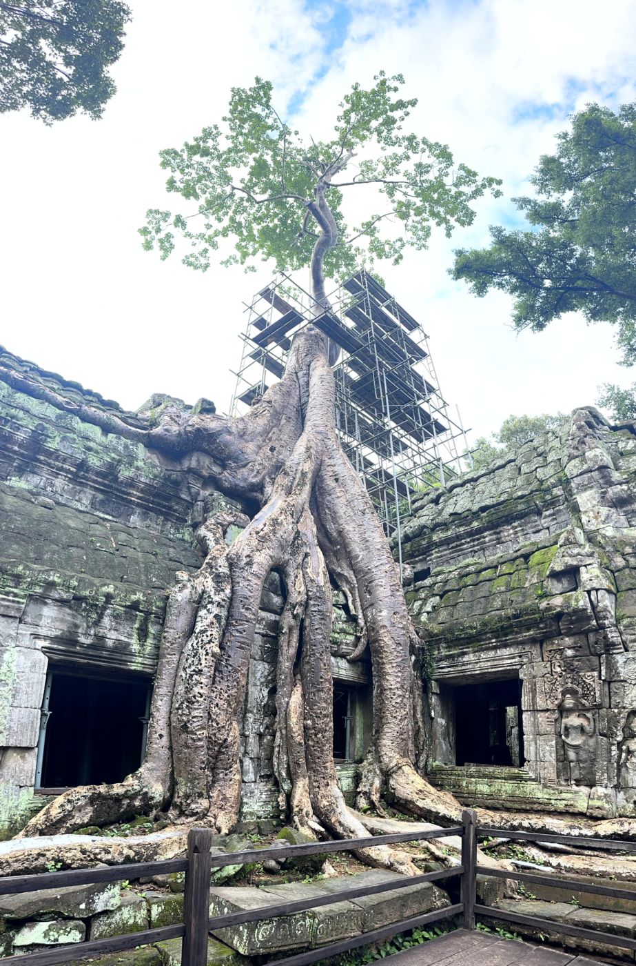 Angkor-Tag 2 – Ta Prohm und die berühmten Baumwurzeln