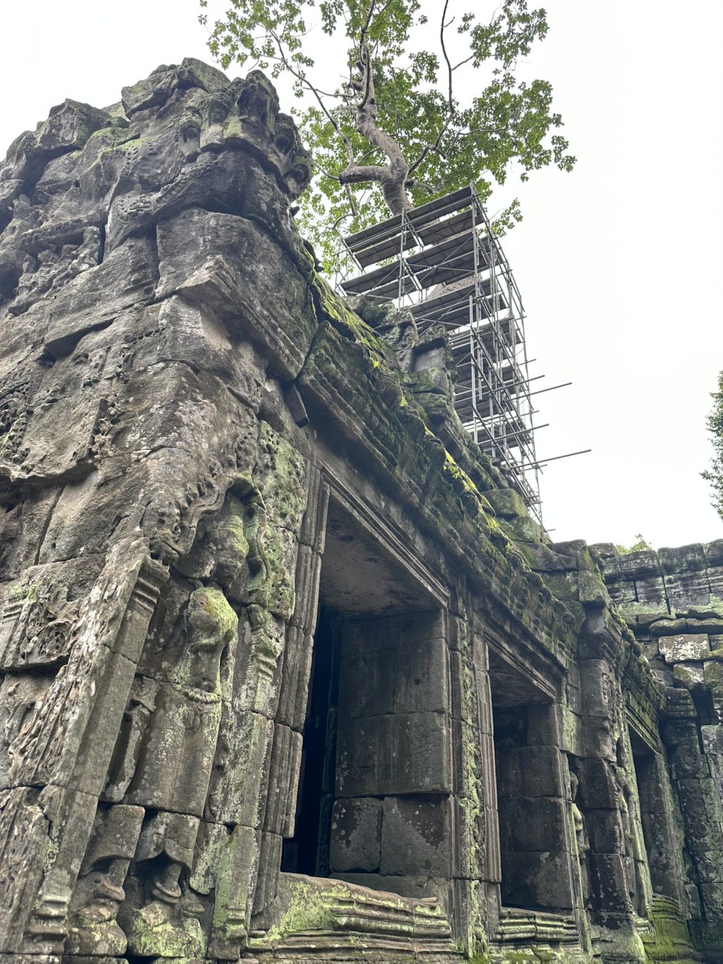 Angkor-Tag 2 – Ta Prohm und die berühmten Baumwurzeln