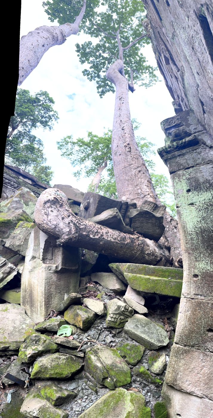 Angkor-Tag 2 – Ta Prohm und die berühmten Baumwurzeln