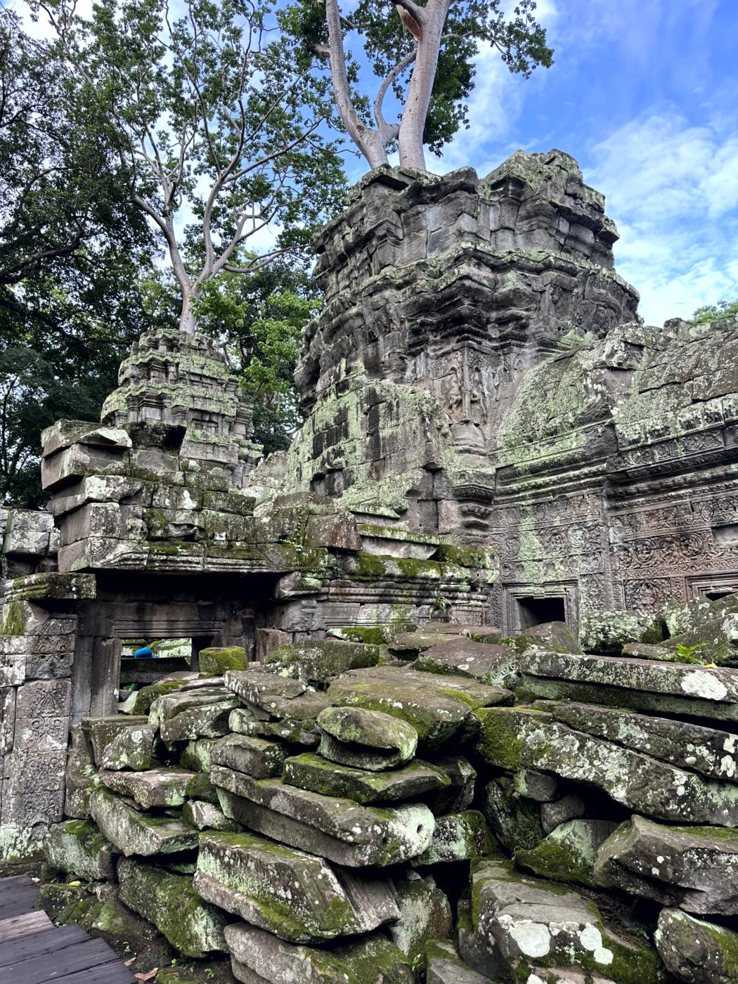 Angkor-Tag 2 – Ta Prohm und die berühmten Baumwurzeln