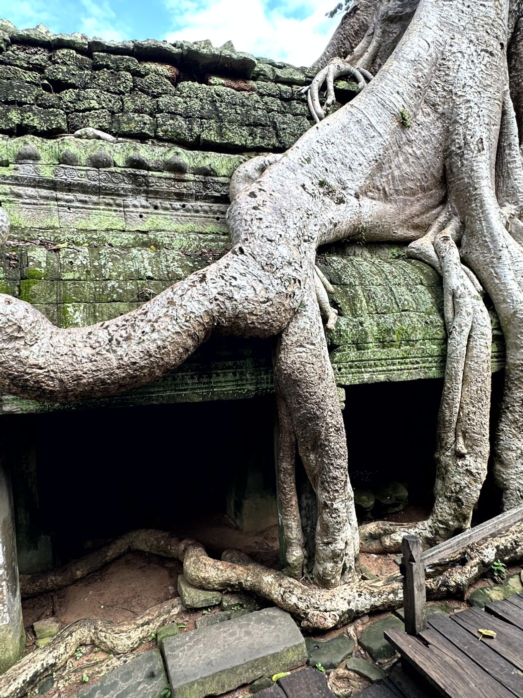 Angkor-Tag 2 – Ta Prohm und die berühmten Baumwurzeln