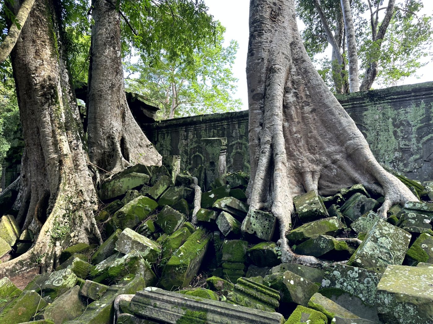 Angkor-Tag 2 – Ta Prohm und die berühmten Baumwurzeln
