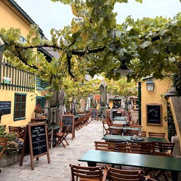 Freizeit, Ausblicke und letzter Abend in Wien